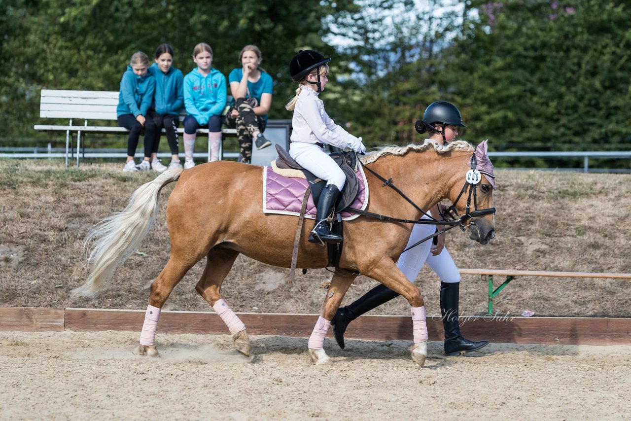 Bild 78 - Pony Akademie Turnier